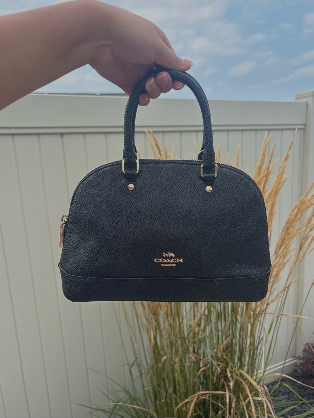 Coach Crossgrain Mini Sierra Satchel